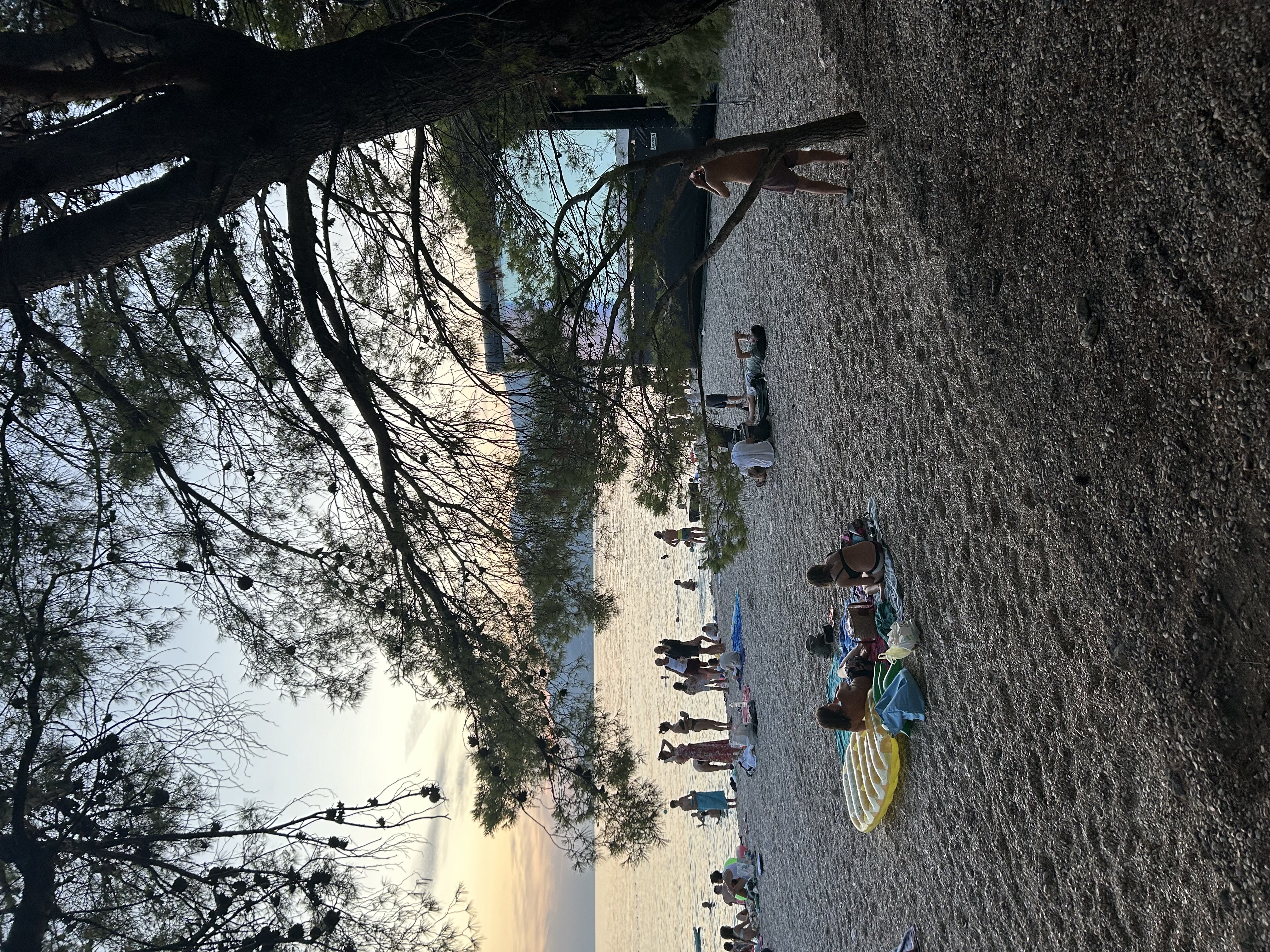 Punta Rata (Zlatni rat) — 2